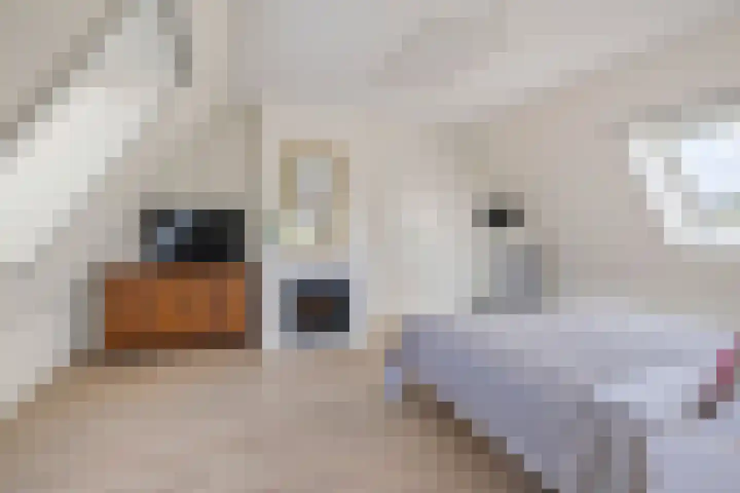 Stox 2 Panningen thumbnail 59