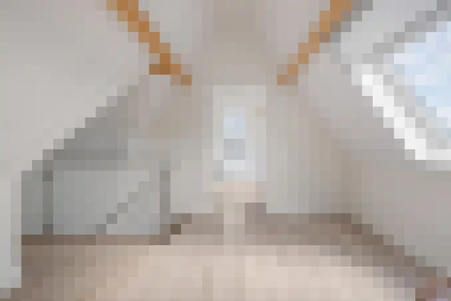 Stox 2 Panningen thumbnail 64