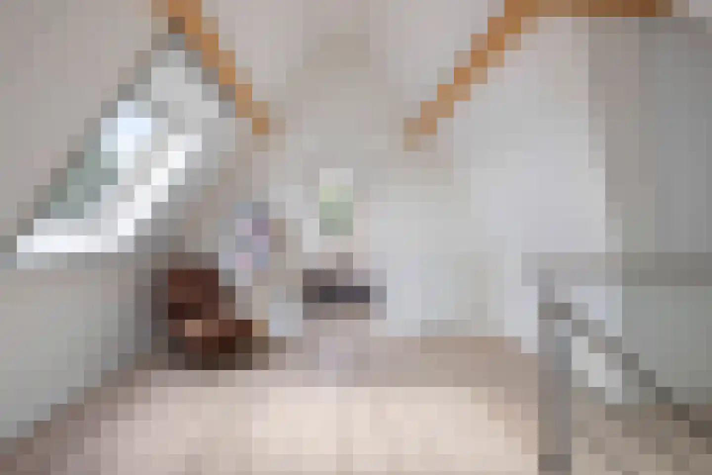 Stox 2 Panningen thumbnail 65