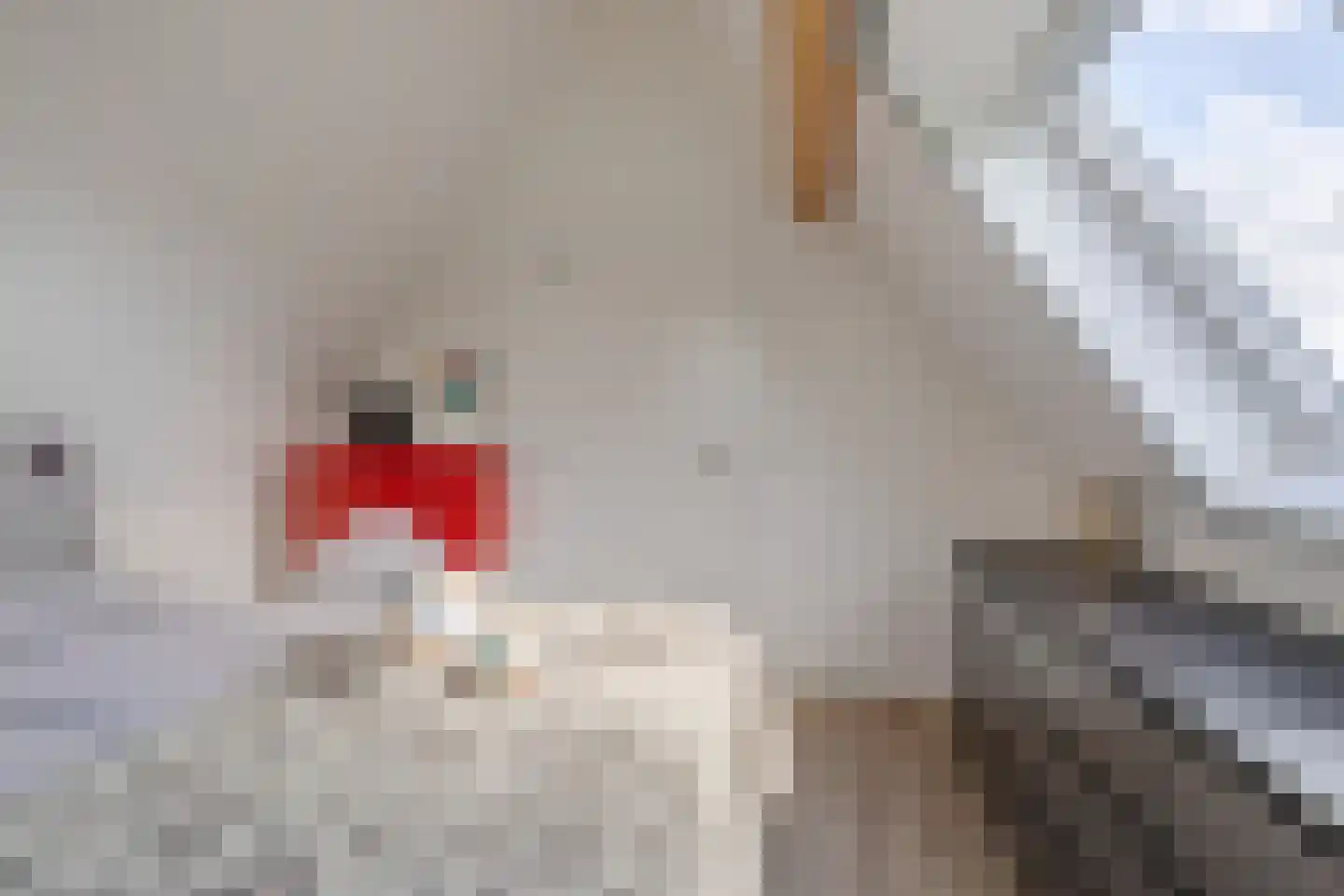 Stox 2 Panningen thumbnail 68
