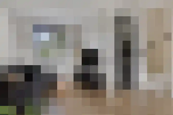 Straakvense Bosdijk 120 Helmond thumbnail 14