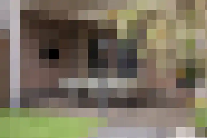 Straakvense Bosdijk 120 Helmond thumbnail 30