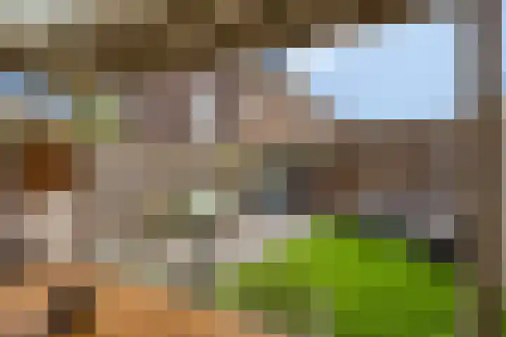 Straakvense Bosdijk 120 Helmond thumbnail 33