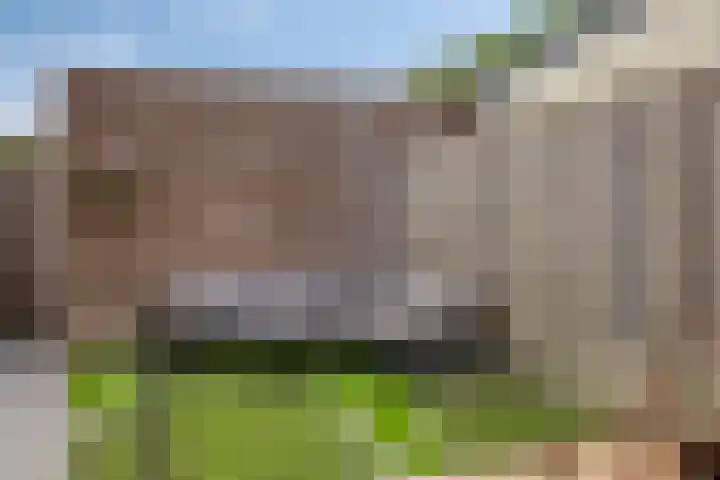 Straakvense Bosdijk 120 Helmond thumbnail 34
