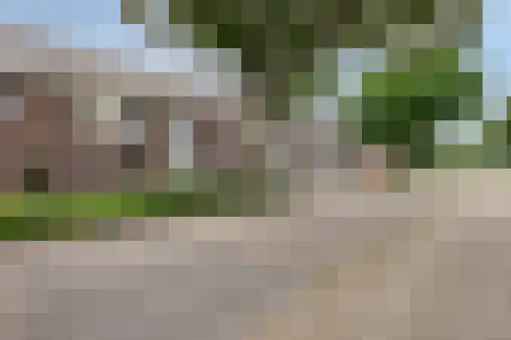 Straakvense Bosdijk 120 Helmond thumbnail 9