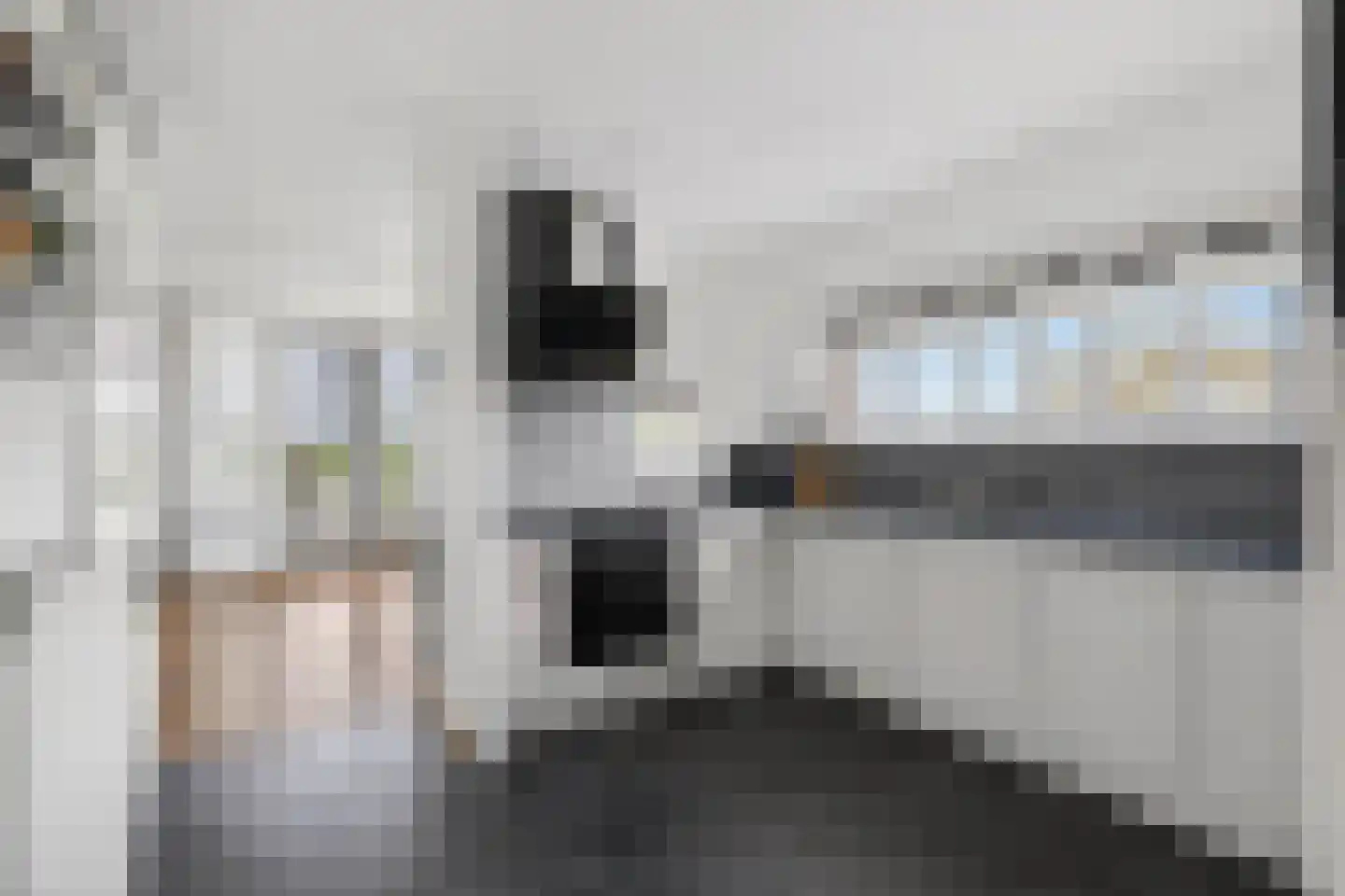 Straakvense Bosdijk 77 Helmond thumbnail 20