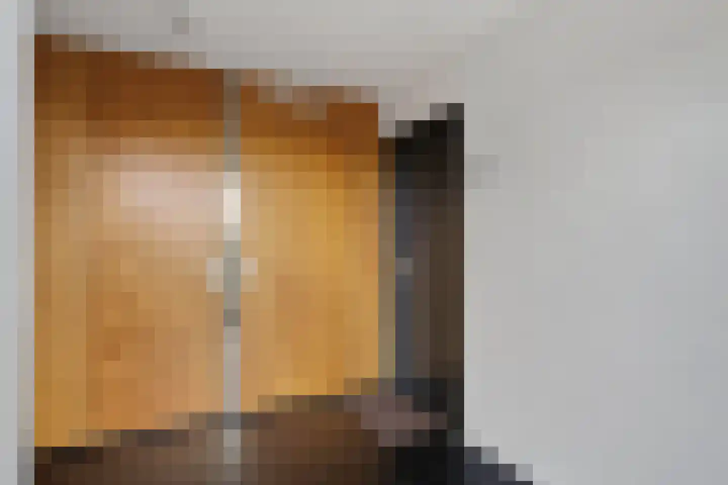 Straakvense Bosdijk 77 Helmond thumbnail 37