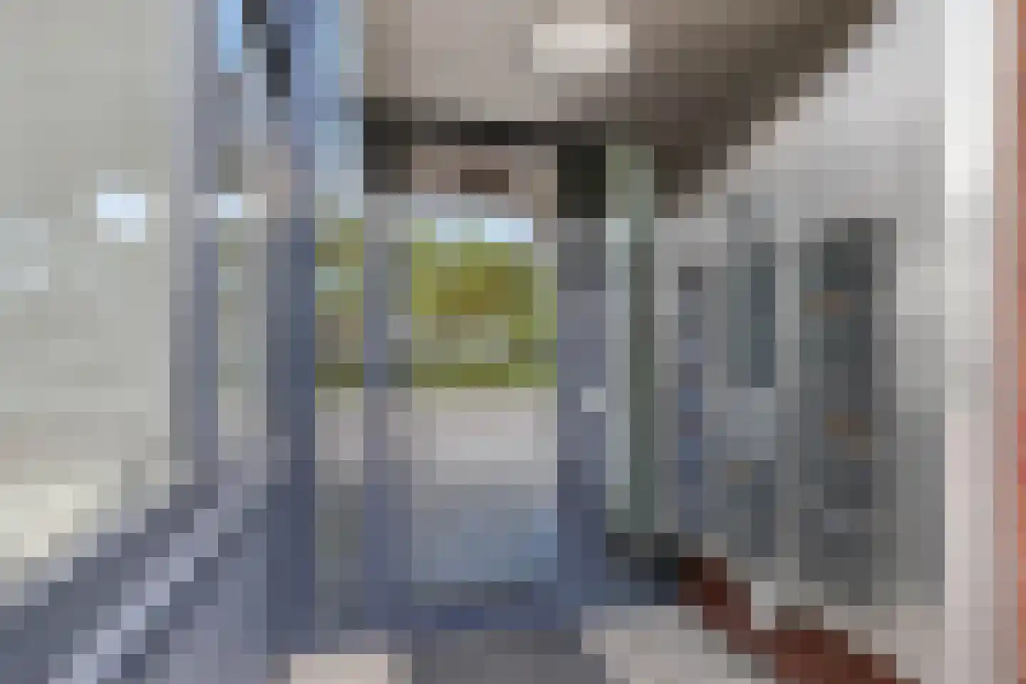 Straakvense Bosdijk 77 Helmond thumbnail 7