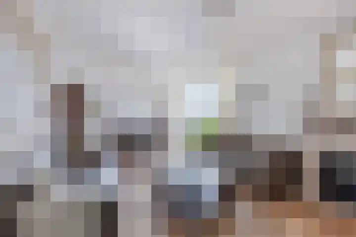 Straakvense Bosdijk 79 Helmond thumbnail 15