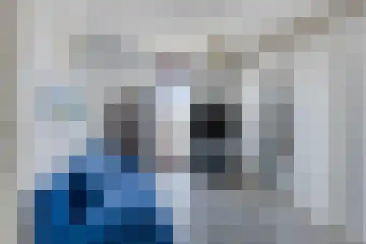 Straakvense Bosdijk 79 Helmond thumbnail 27