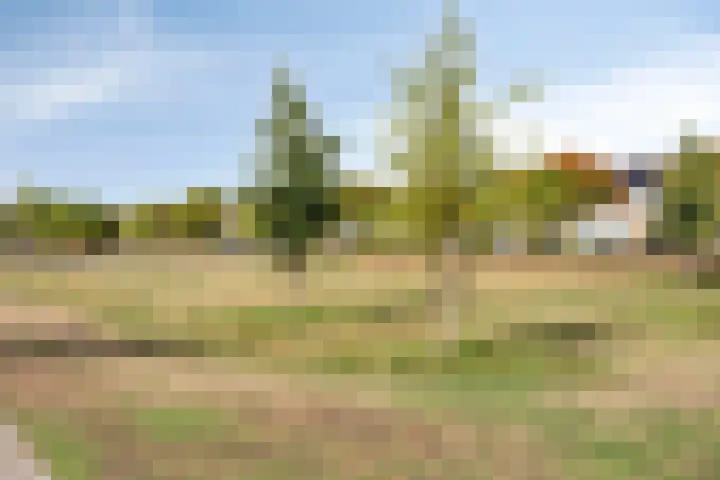 Straakvense Bosdijk 83 Helmond thumbnail 48