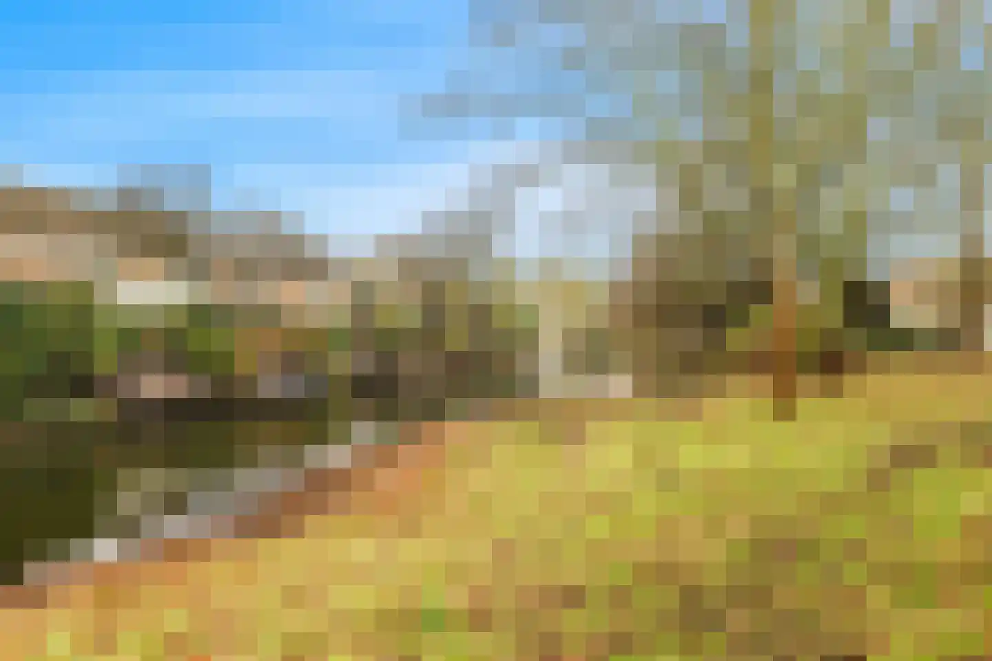 Straalsteen 10 Heerhugowaard thumbnail 35