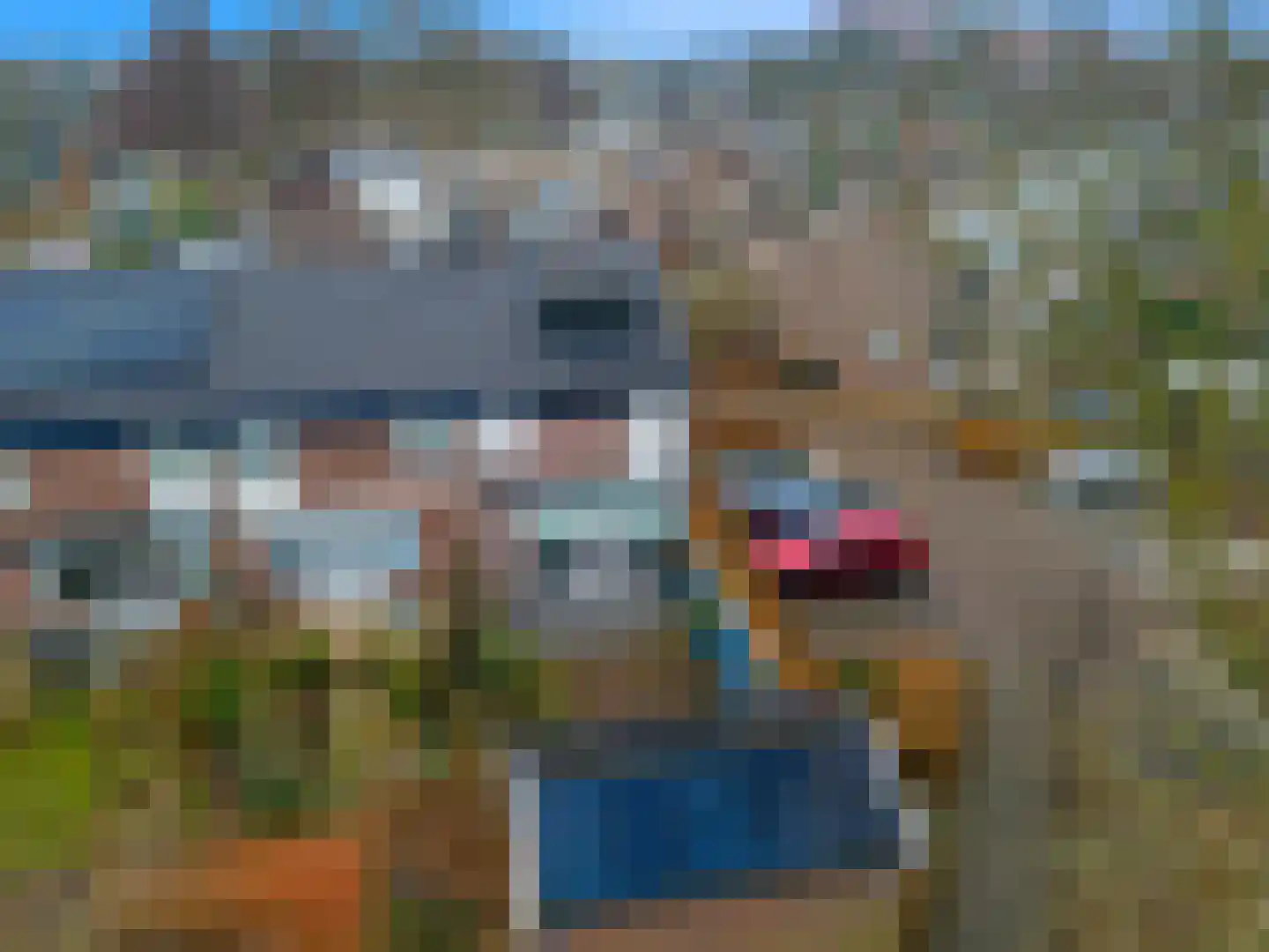Straalsteen 10 Heerhugowaard thumbnail 36