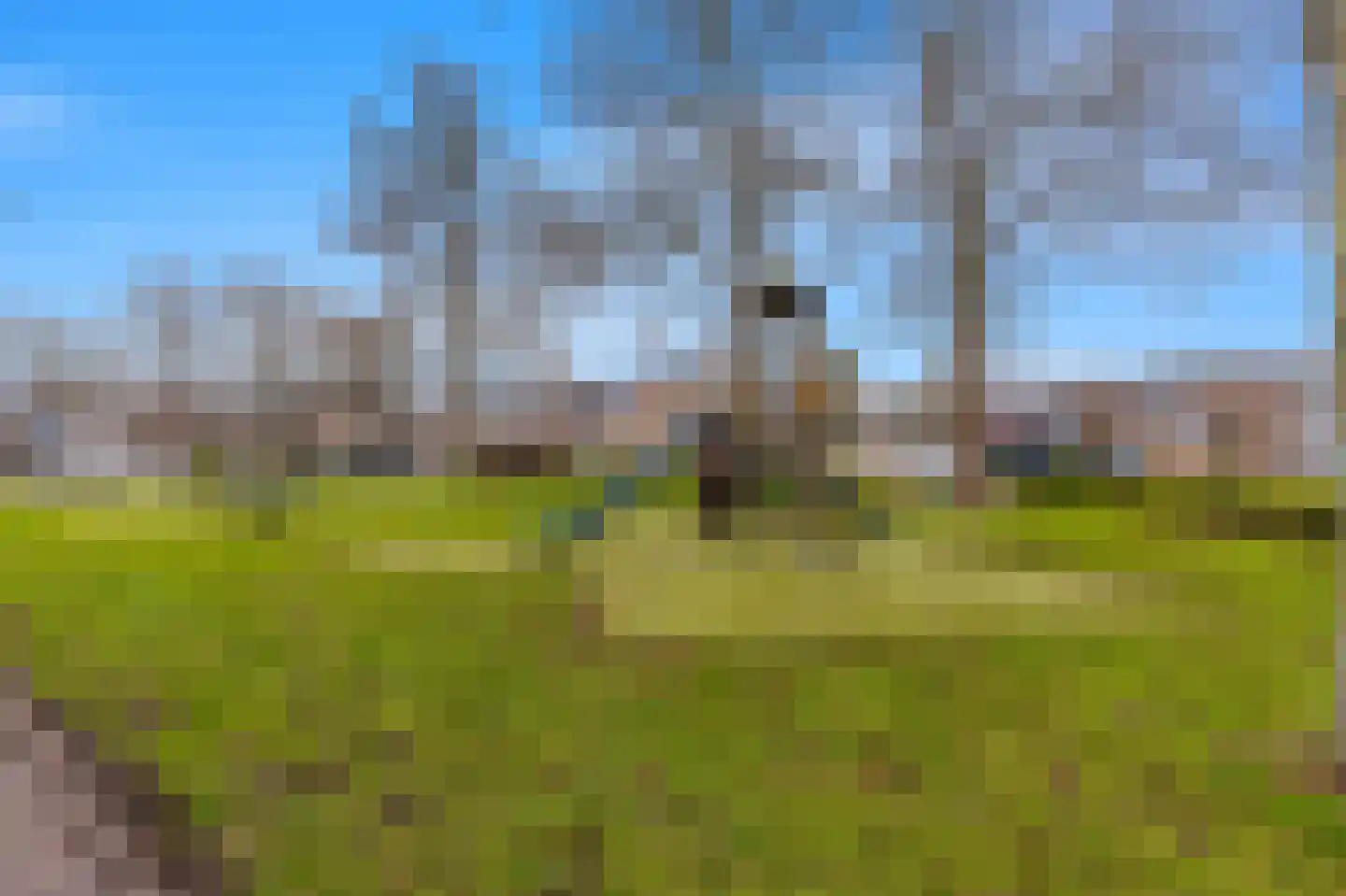 Straalsteen 10 Heerhugowaard thumbnail 41