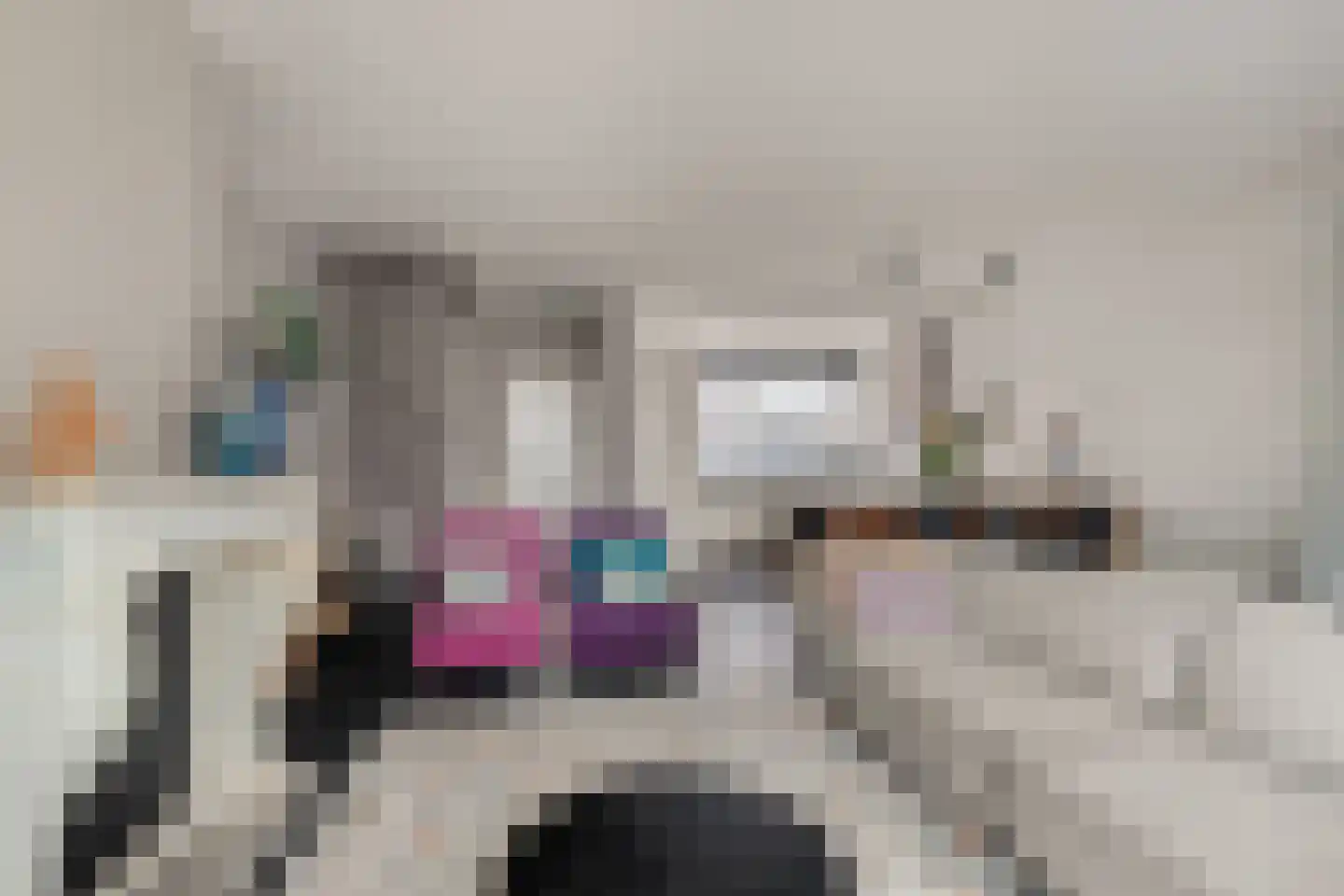 Straalsteen 10 Heerhugowaard thumbnail 8