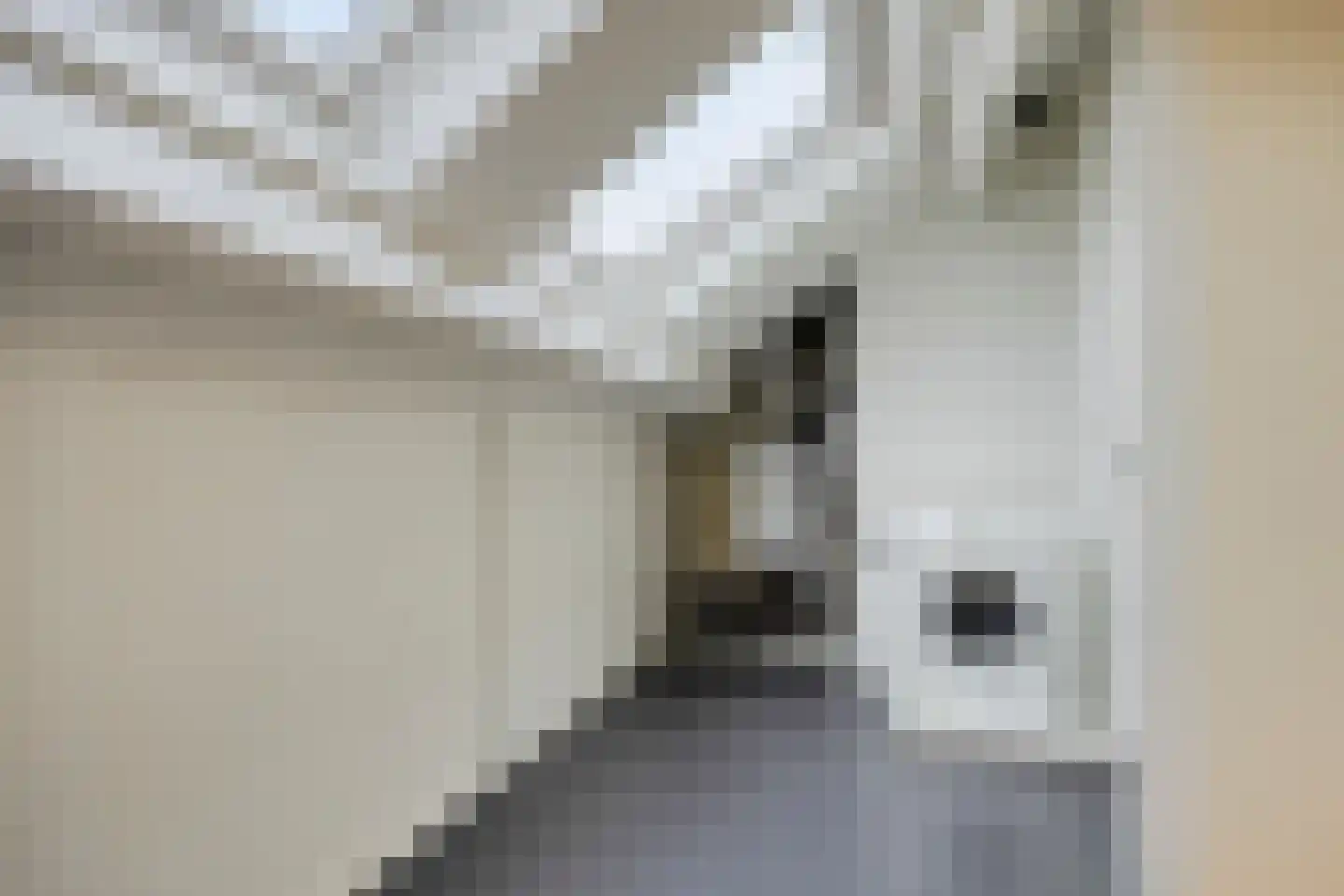 Straat Davis 12 Krimpen aan de Lek thumbnail 22