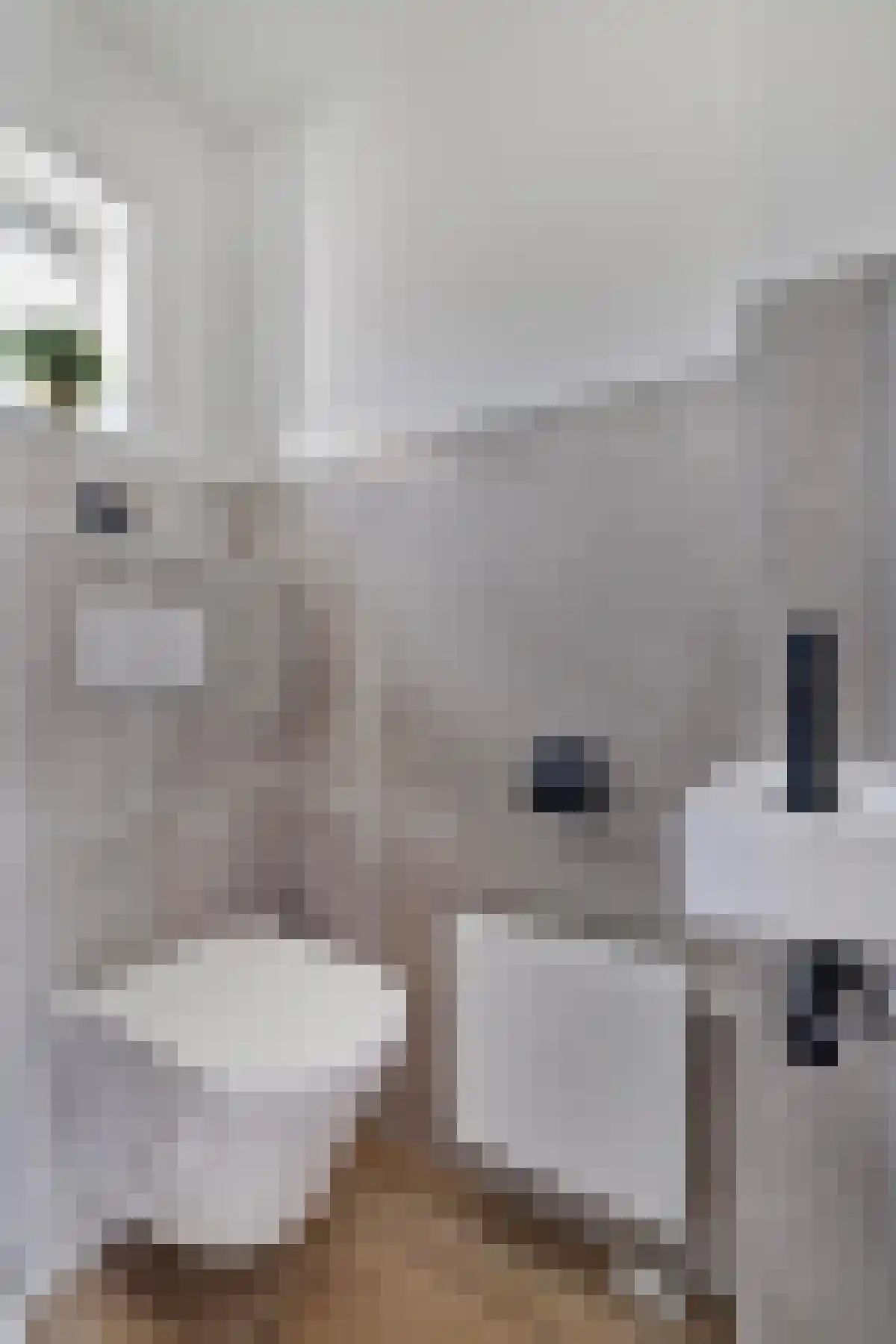 Straat Davis 4 Krimpen aan de Lek thumbnail 6