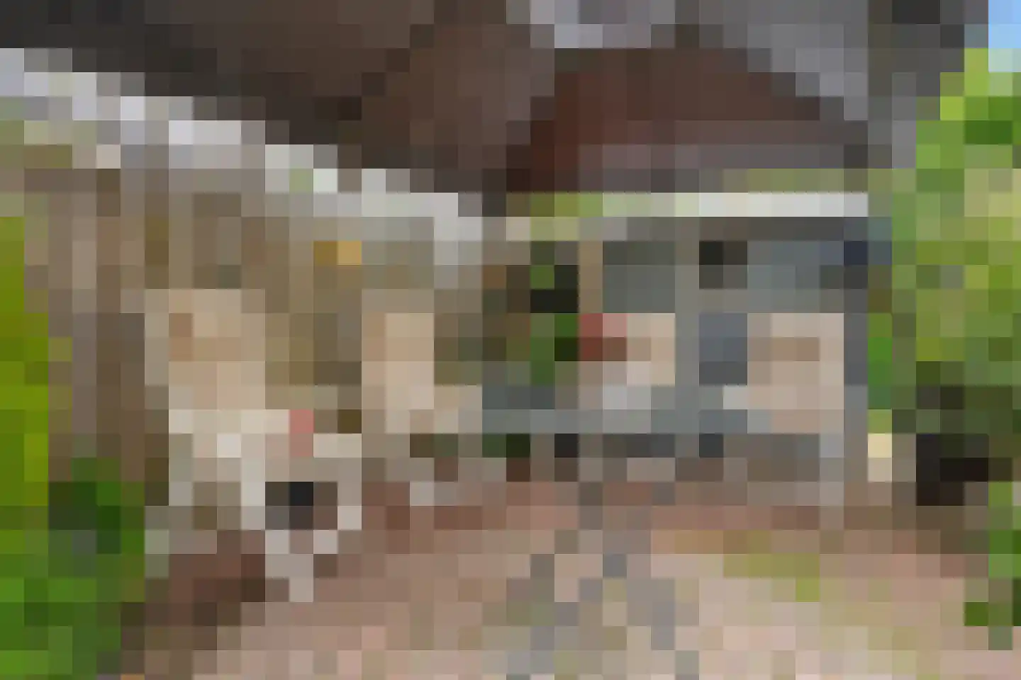 Straat Formosa 78 Veendam thumbnail 21