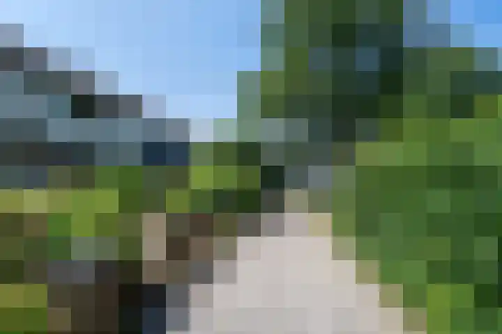 Straat Malakka 34 Veendam thumbnail 20