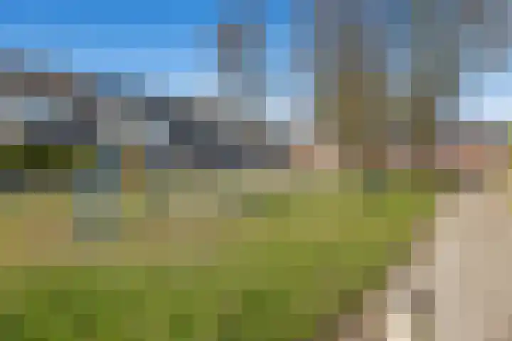 Straat Soenda 73 Veendam thumbnail 32