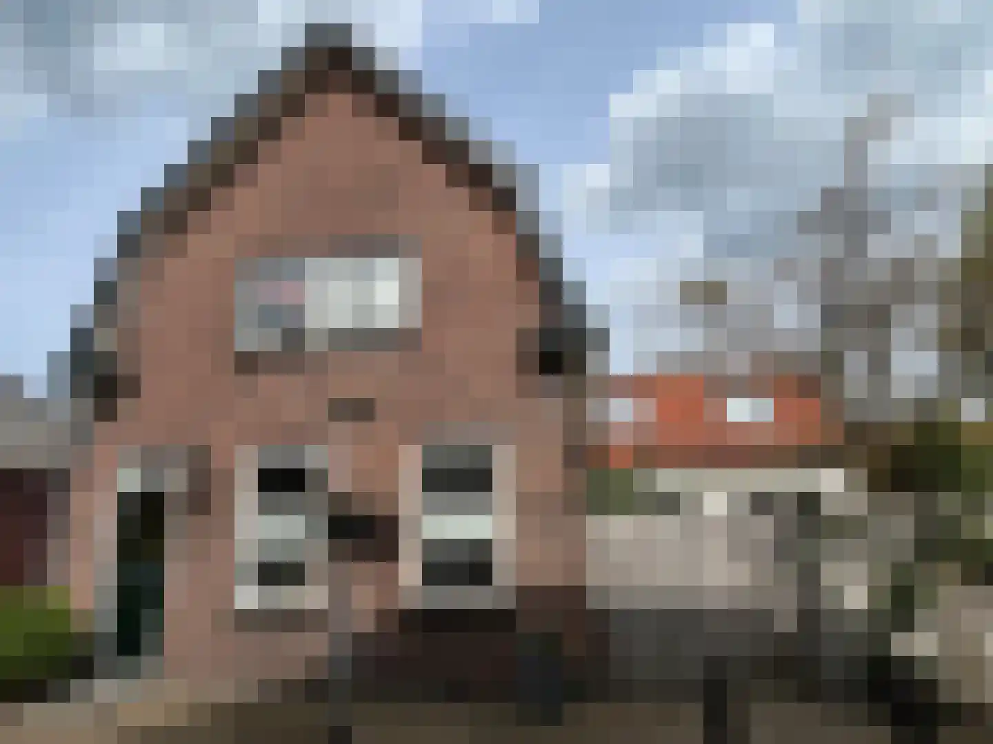 Straat ter Leede 2 Warmond foto 3