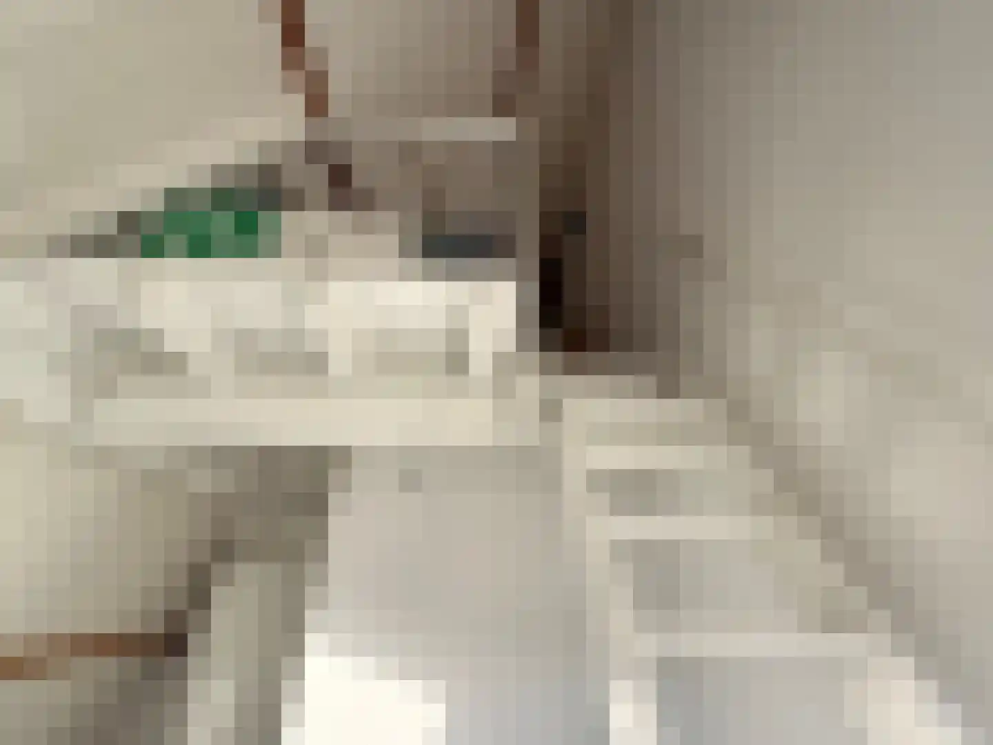 Straat ter Leede 2 Warmond thumbnail 37