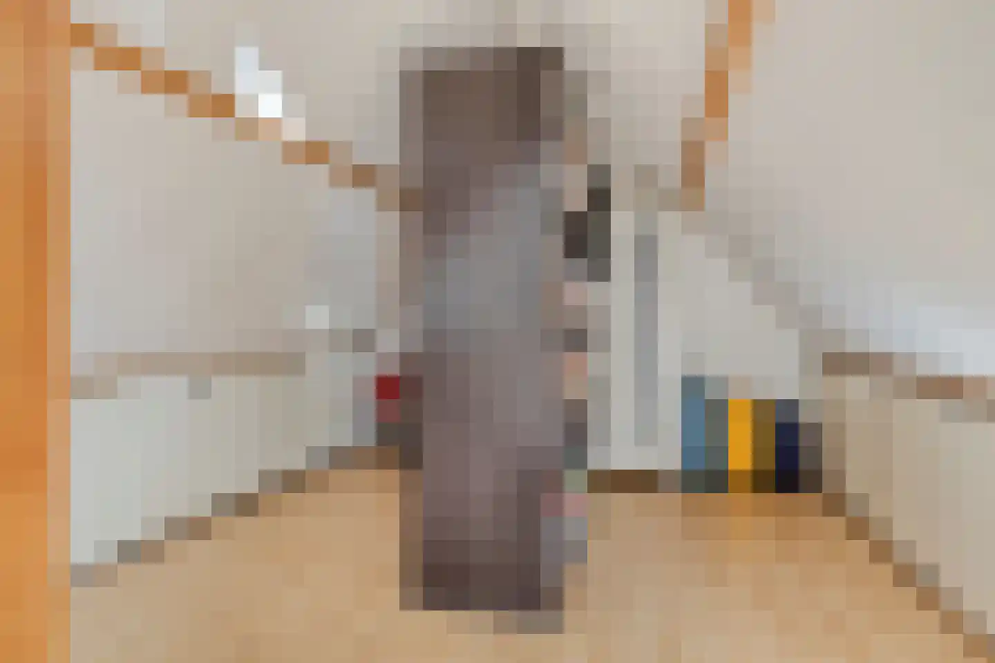 Straat ter Leede 2 Warmond thumbnail 44