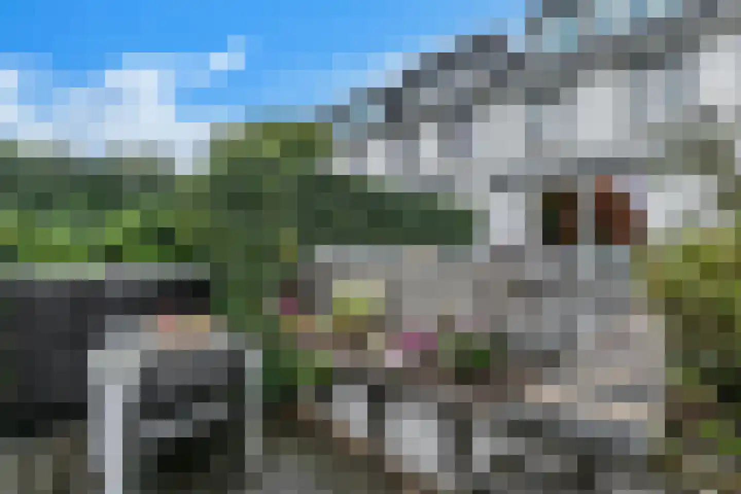 Straat van Gibraltar 136 Amersfoort thumbnail 47