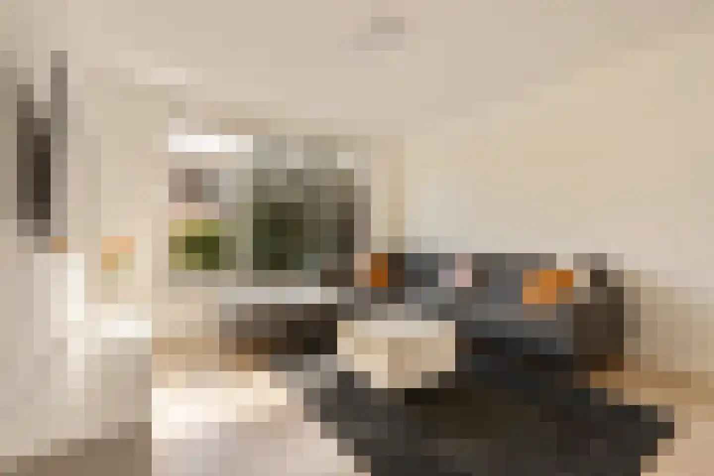 Straat van Magelhaens 28 Amstelveen thumbnail 5