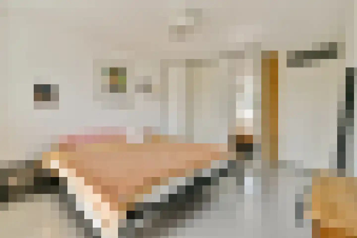 Straat van Magelhaens 29 Amstelveen thumbnail 19