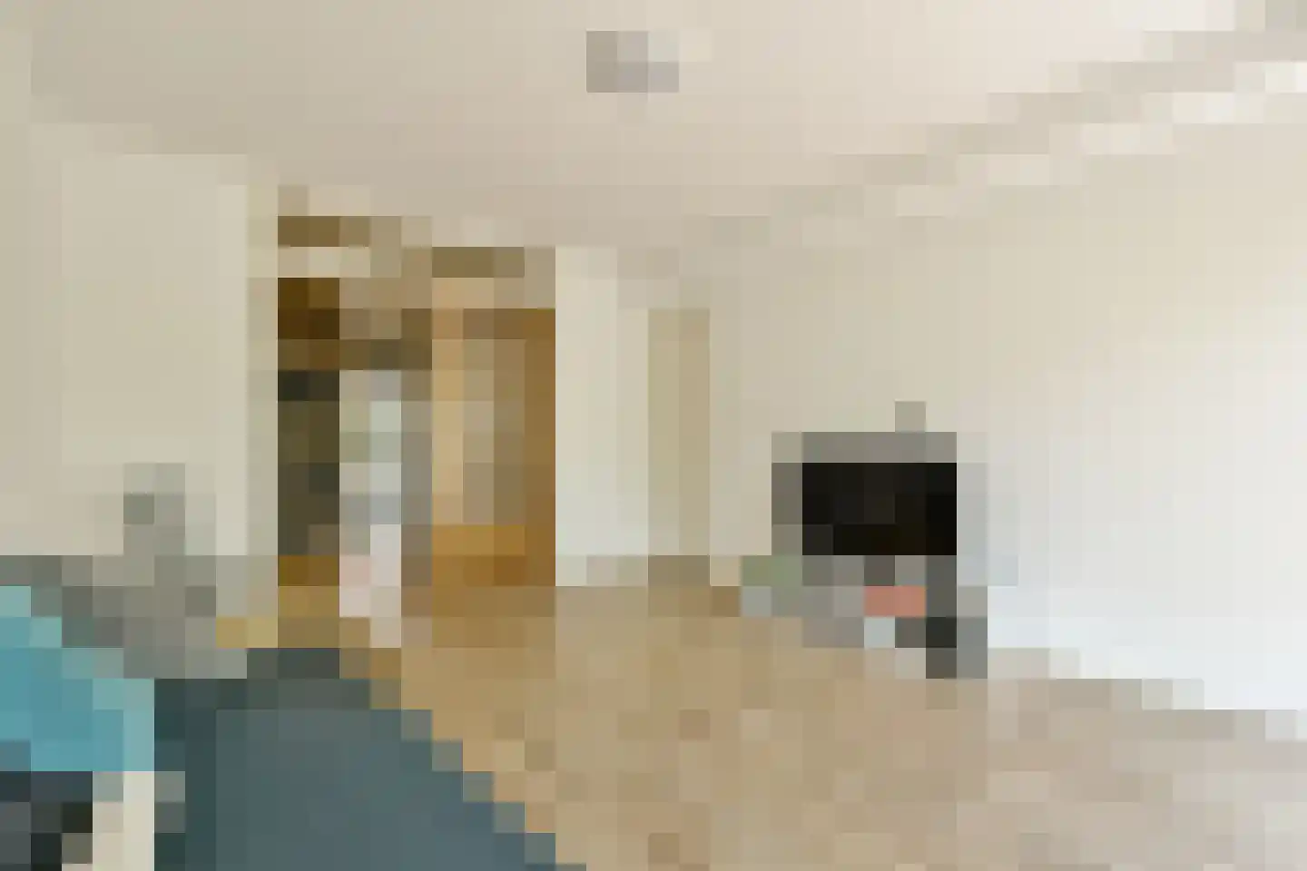 Straat van Magelhaens 29 Amstelveen thumbnail 33