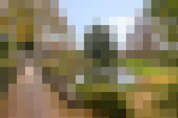 Straat van Makassar 41 Amstelveen thumbnail 32