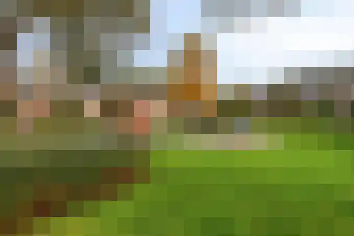 Straat van Makassar 41 Amstelveen thumbnail 33