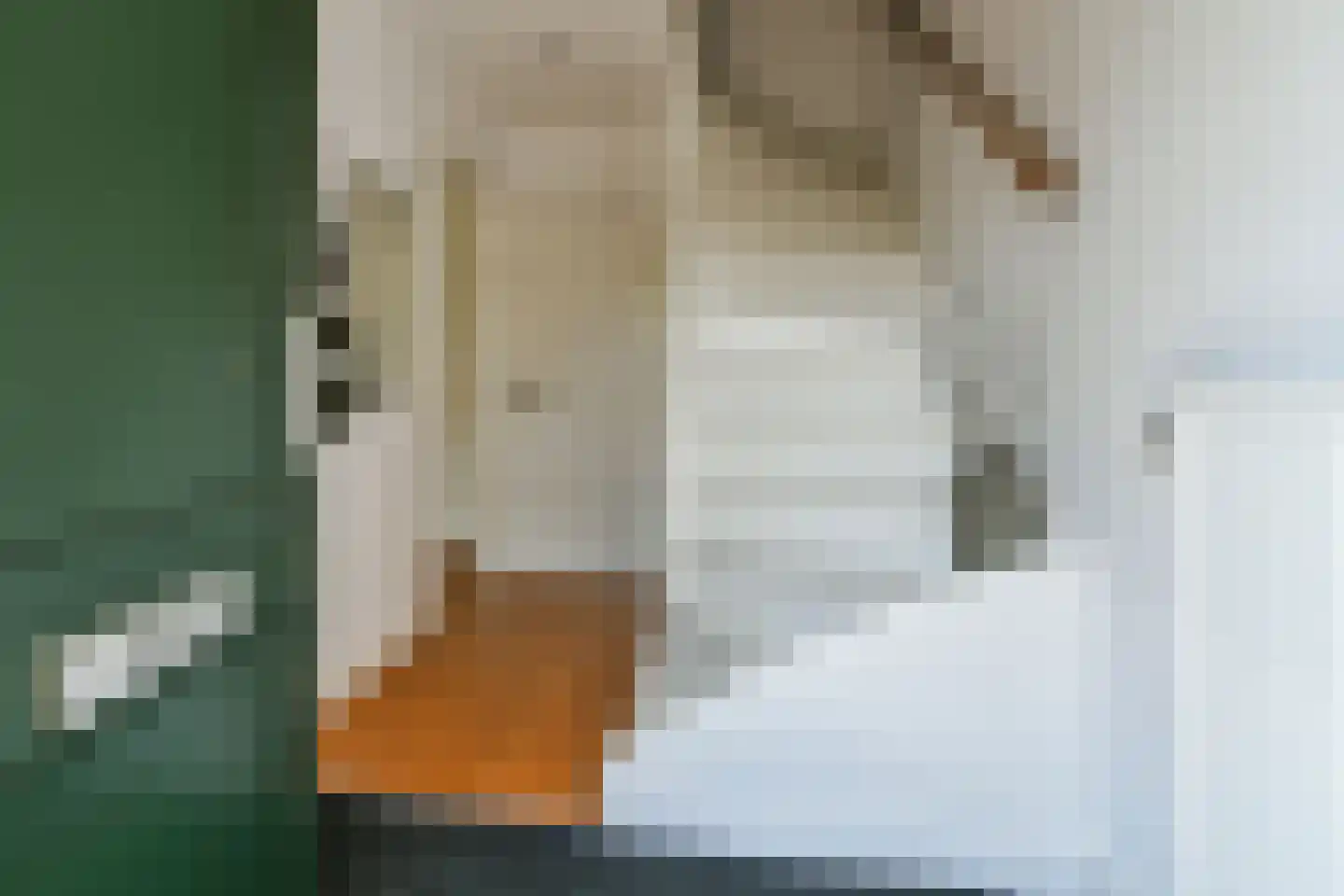 Straat van Makassar 67 Amstelveen thumbnail 7