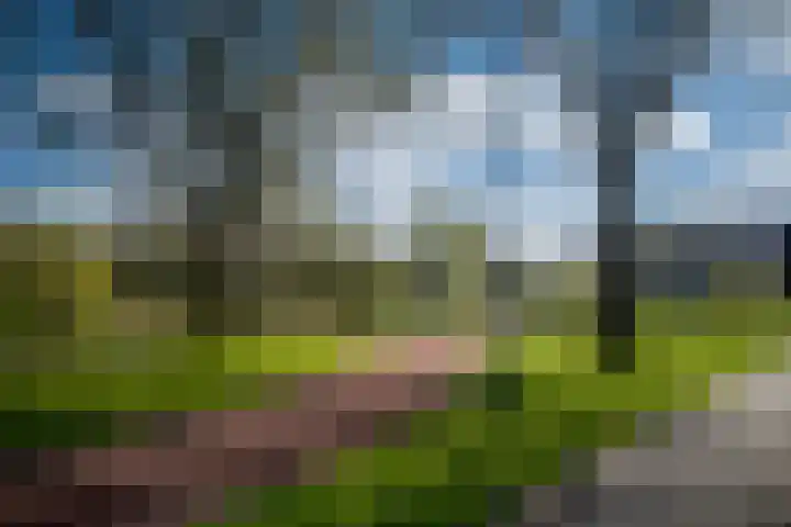 Straat van Messina 13 Amstelveen thumbnail 31