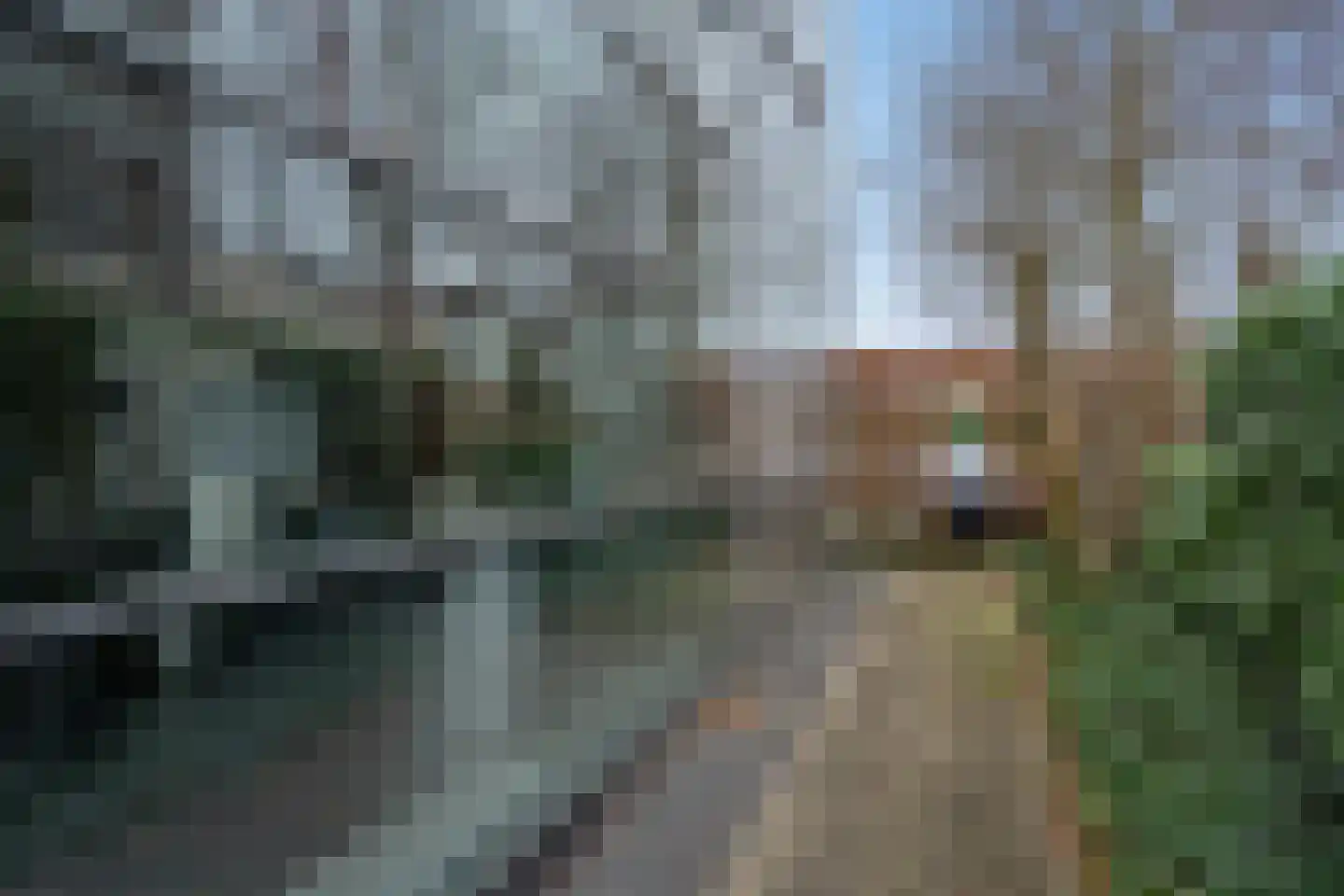 Straat van Ormoes 145 Delft thumbnail 6