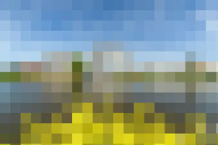 Straat van Ormoes 63 Delft thumbnail 32