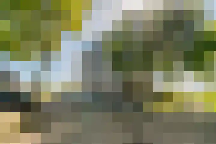 Straat van Ormoes 63 Delft thumbnail 5