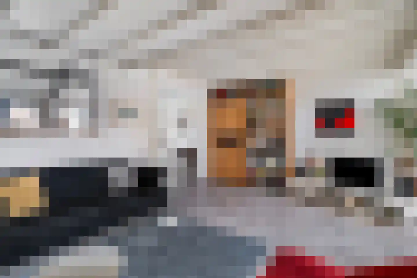Straat van Sevenhuysen 6 Harderwijk thumbnail 13