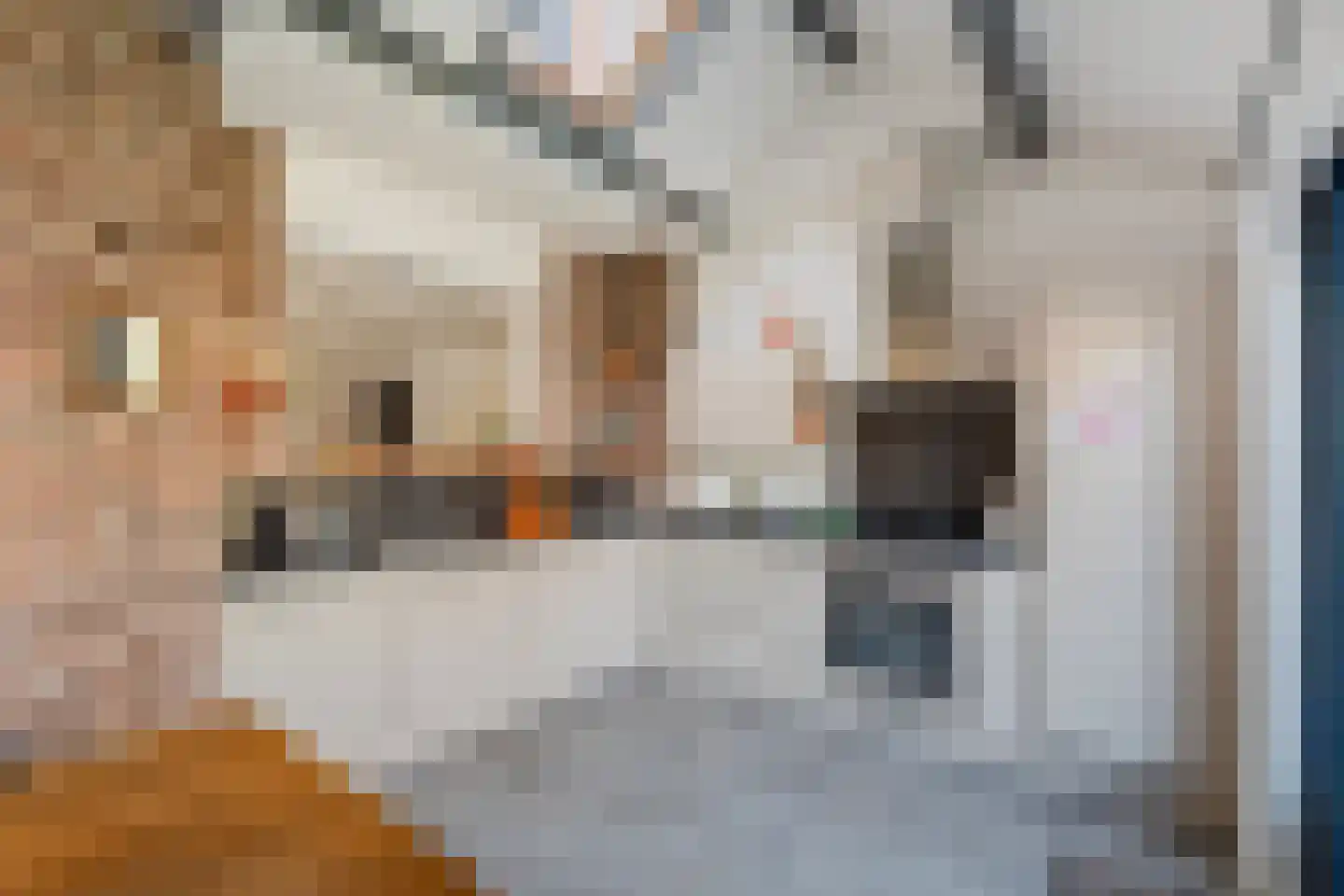 Straat van Sevenhuysen 6 Harderwijk thumbnail 20