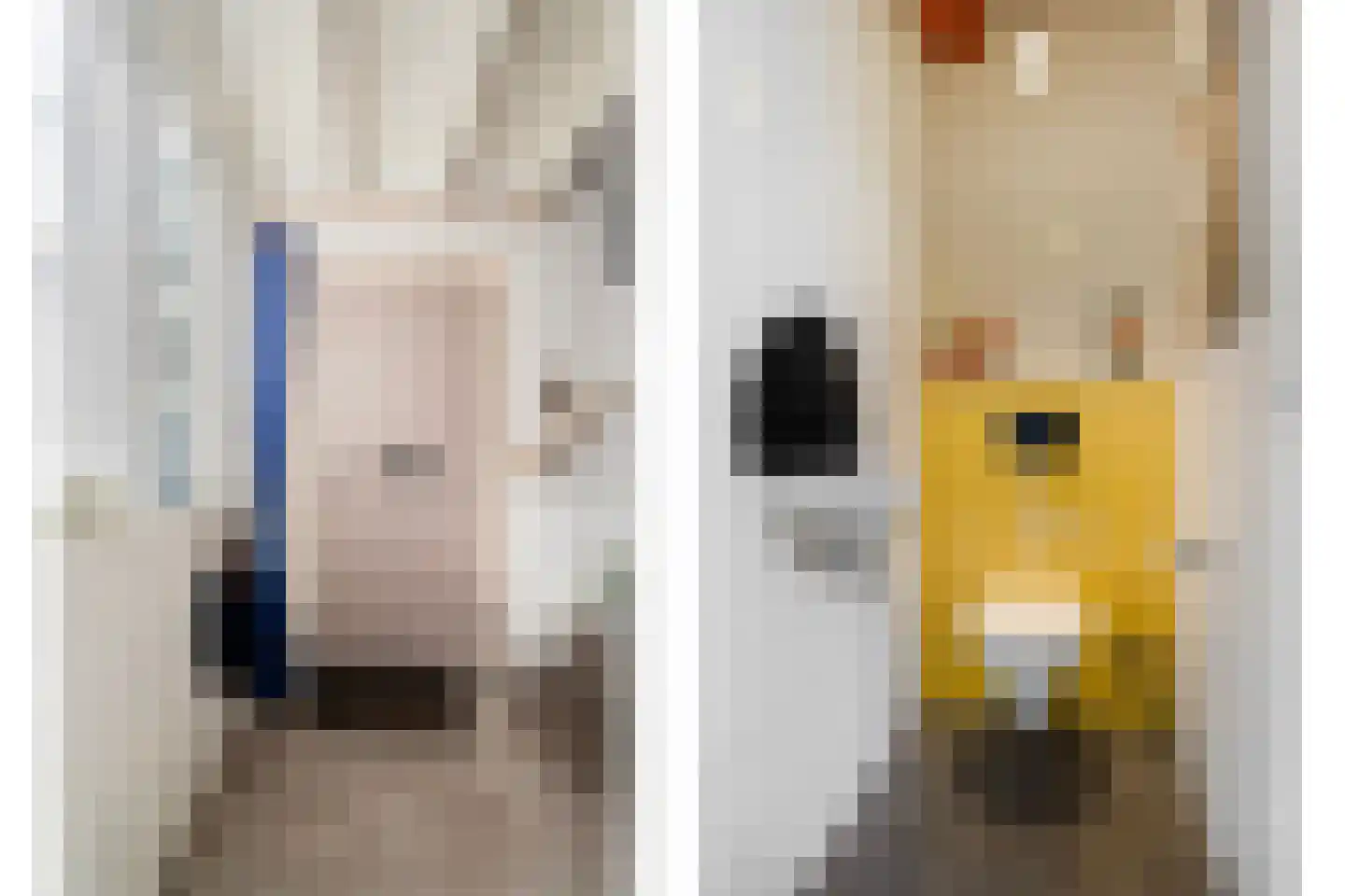 Straat van Sevenhuysen 6 Harderwijk thumbnail 23