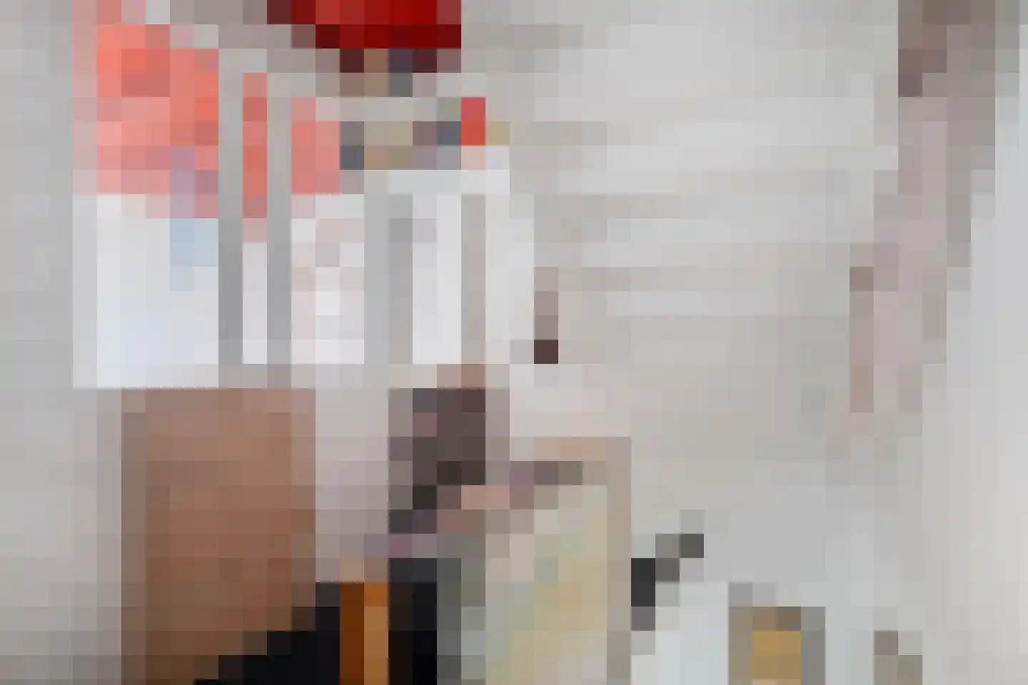 Straat van Sevenhuysen 6 Harderwijk thumbnail 24