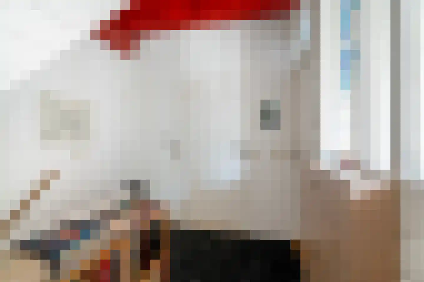Straat van Sevenhuysen 6 Harderwijk thumbnail 25