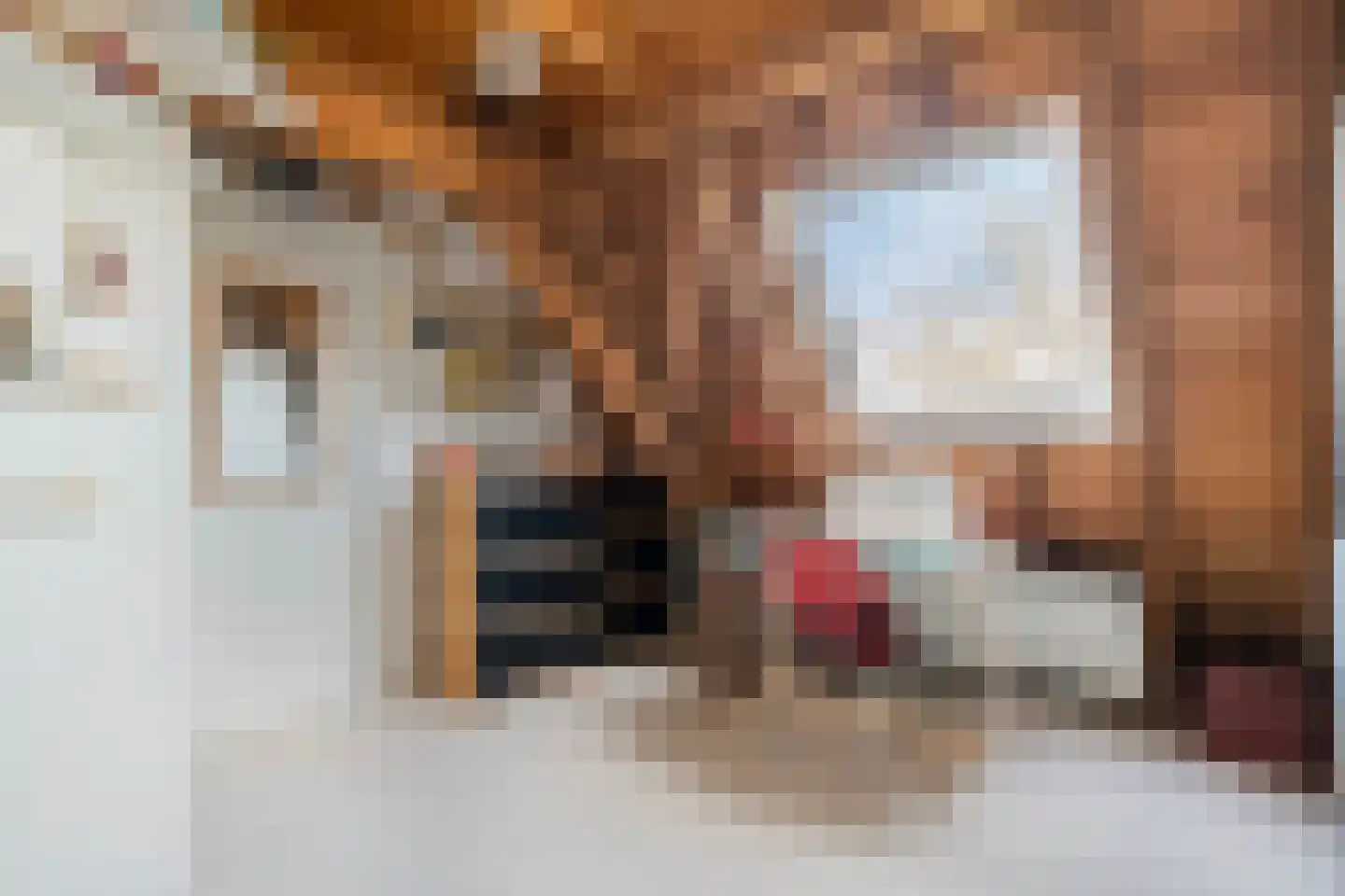 Straat van Sevenhuysen 6 Harderwijk thumbnail 36