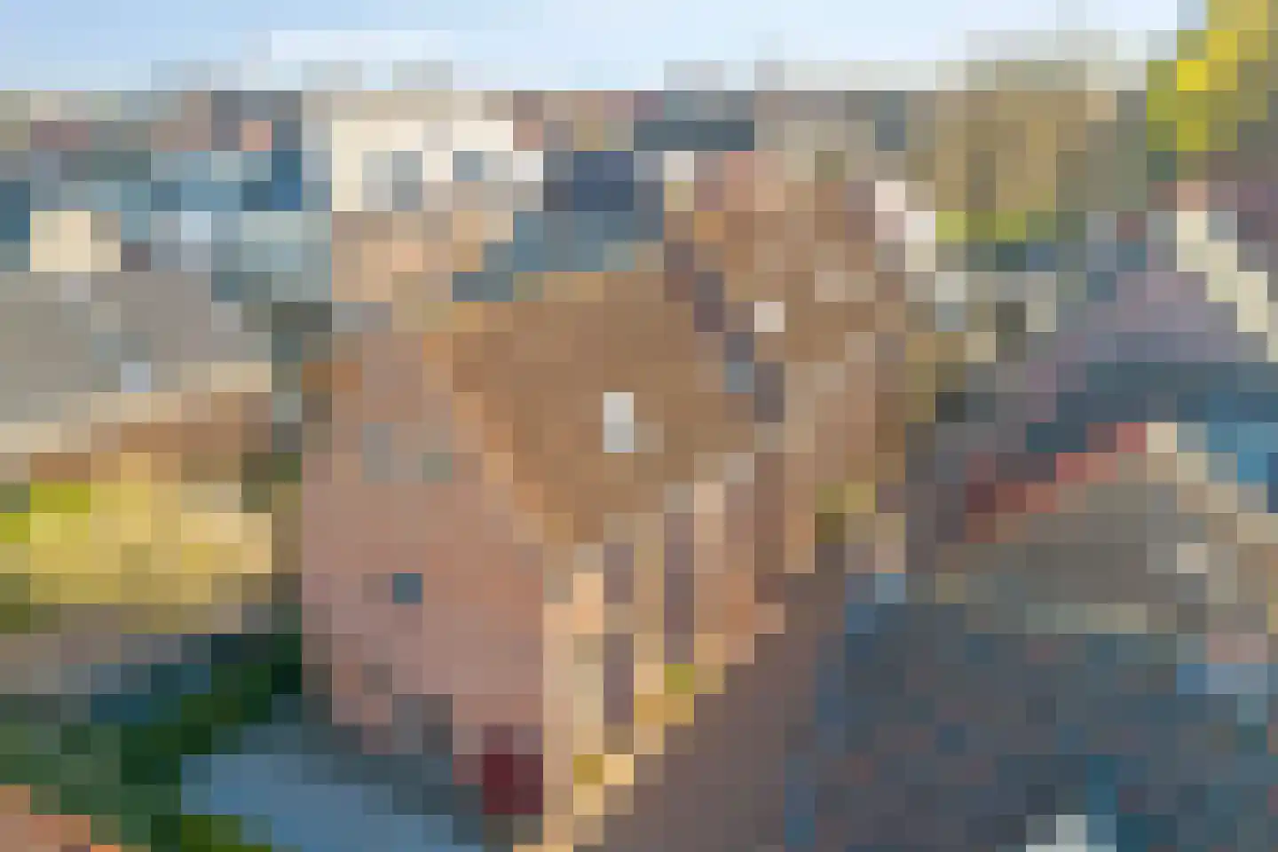 Straat van Sevenhuysen 6 Harderwijk thumbnail 49