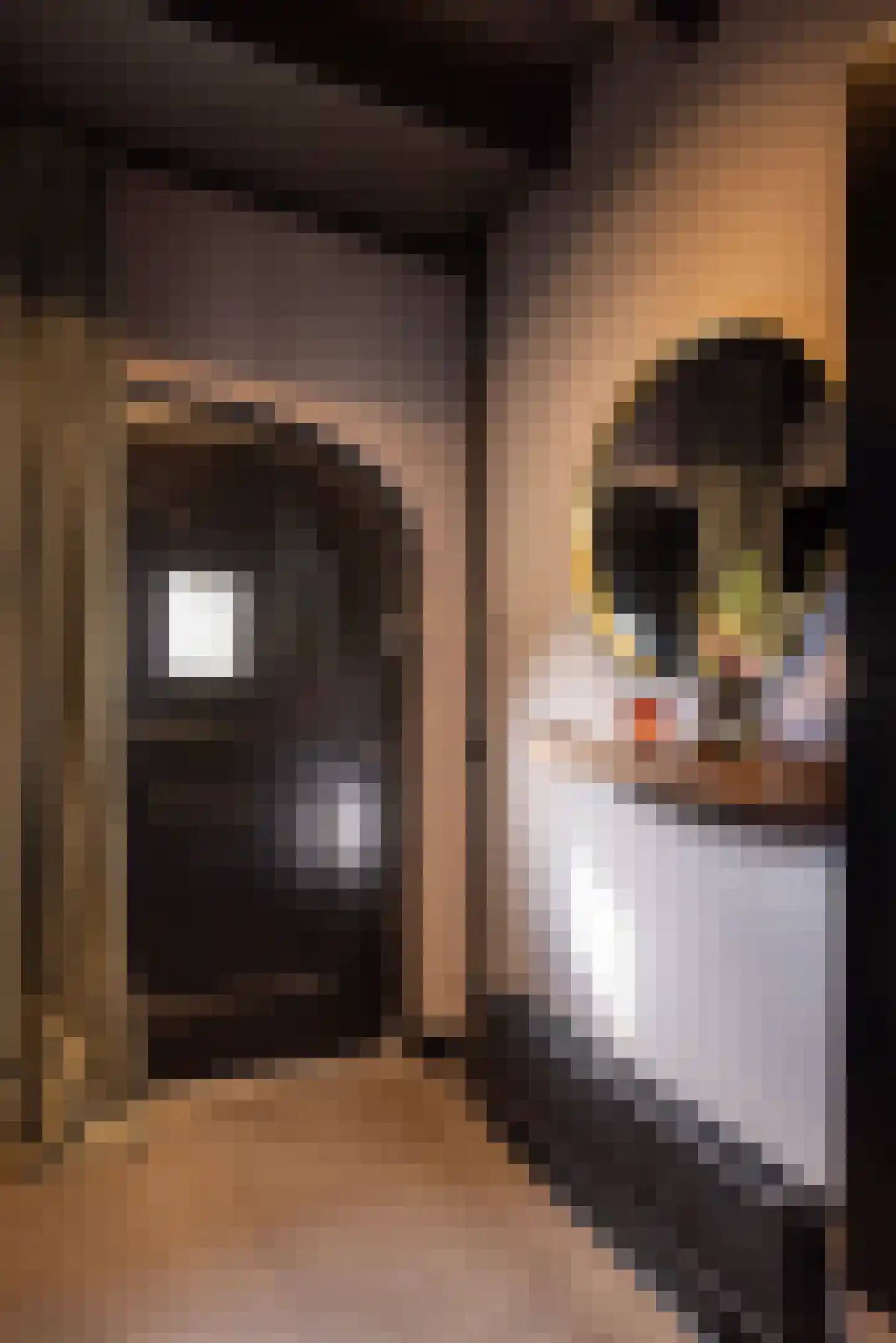 Straat van Sevenhuysen 8 Harderwijk thumbnail 10