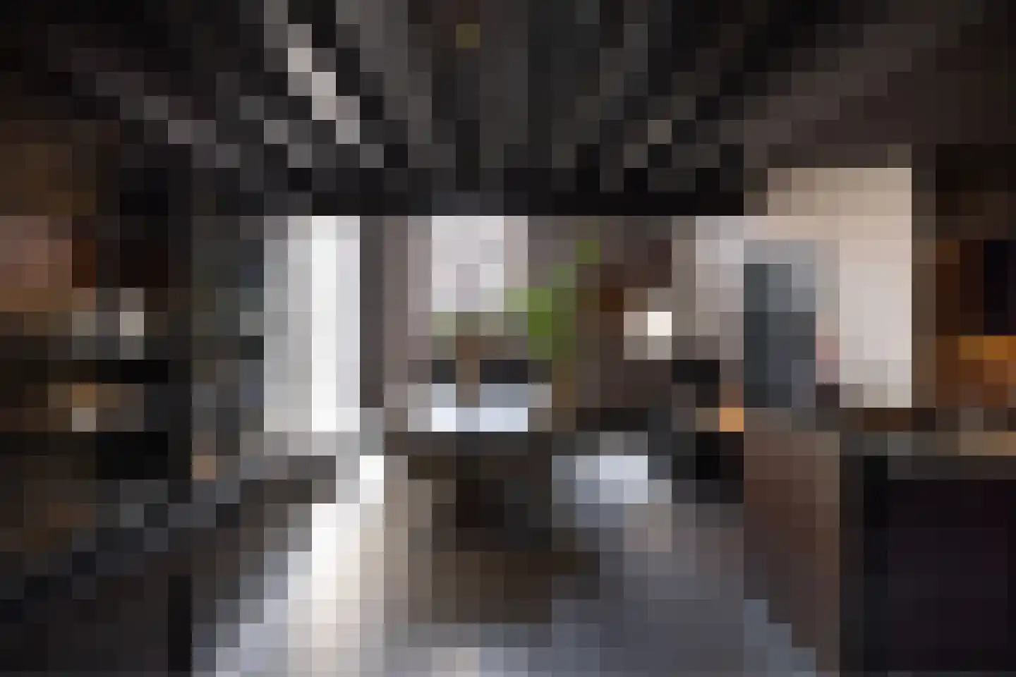 Straat van Sevenhuysen 8 Harderwijk thumbnail 12