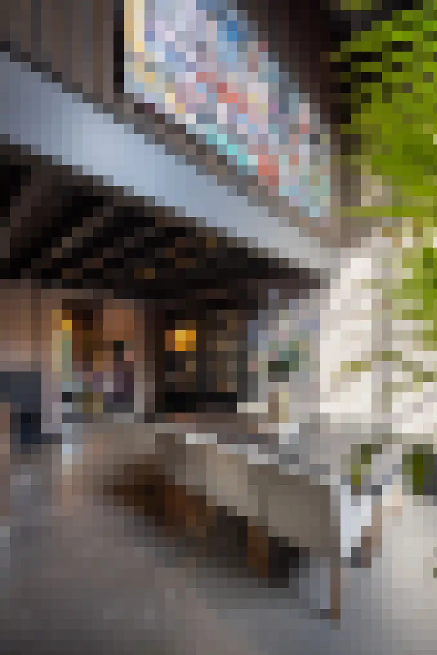 Straat van Sevenhuysen 8 Harderwijk thumbnail 13