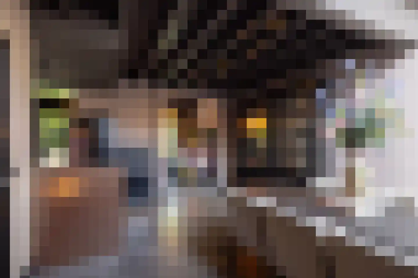 Straat van Sevenhuysen 8 Harderwijk thumbnail 15
