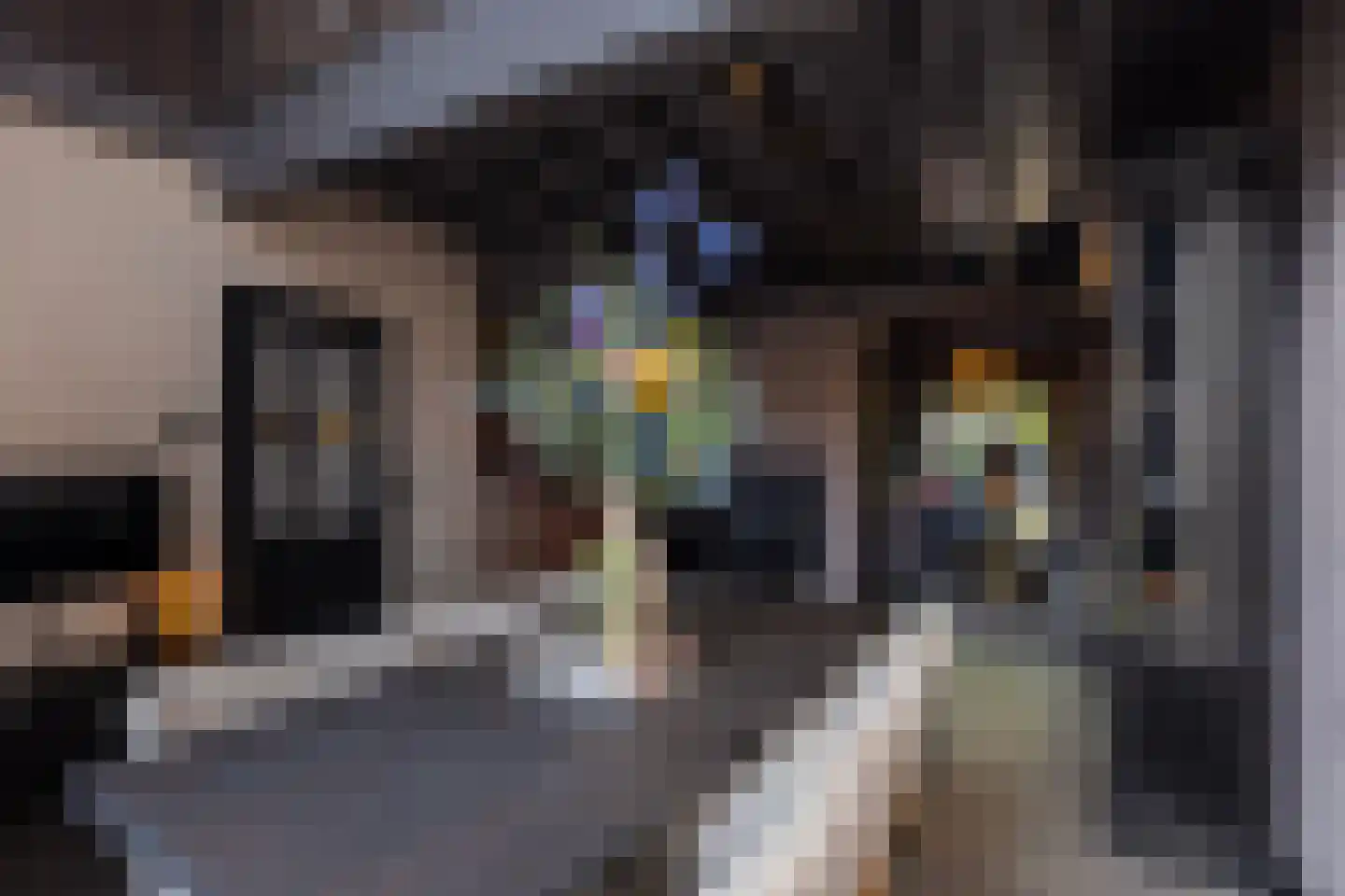 Straat van Sevenhuysen 8 Harderwijk thumbnail 16